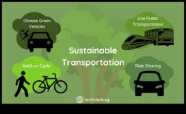 Călătorii mai ecologice Cum vă poate ajuta transportul public să trăiți în mod durabil
